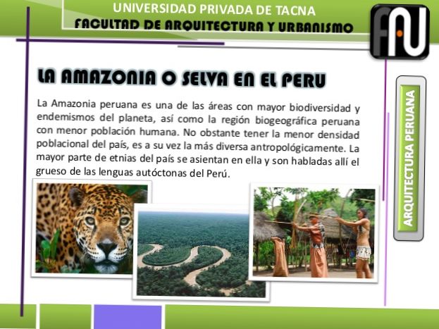 ¿CUÁLES SON LAS CARACTERÍSTICAS DE LA REGIÓN SELVA DEL PERÚ?